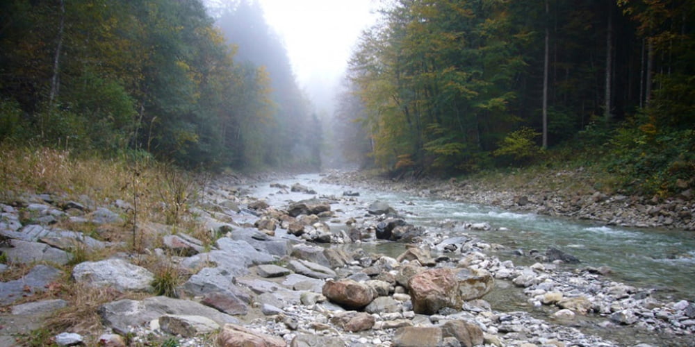 Rund um den Trauchberg mit naßen Füßen