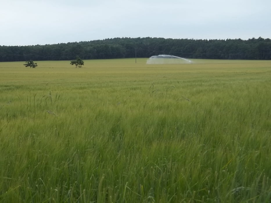Rötgesbüttel-Leiferde-Dalldorf-Hillerse-Rötgesbüttel