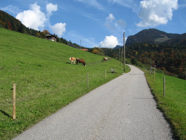 Von Nussdorf zur Wagneralm