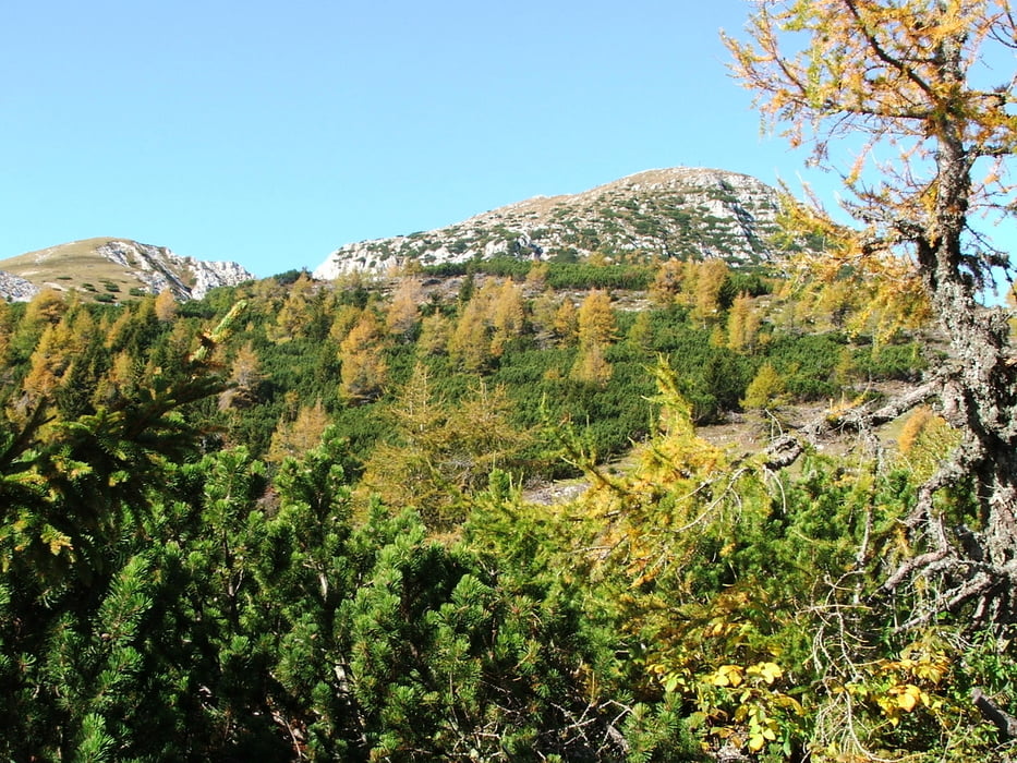 Kärnten: Hochobir