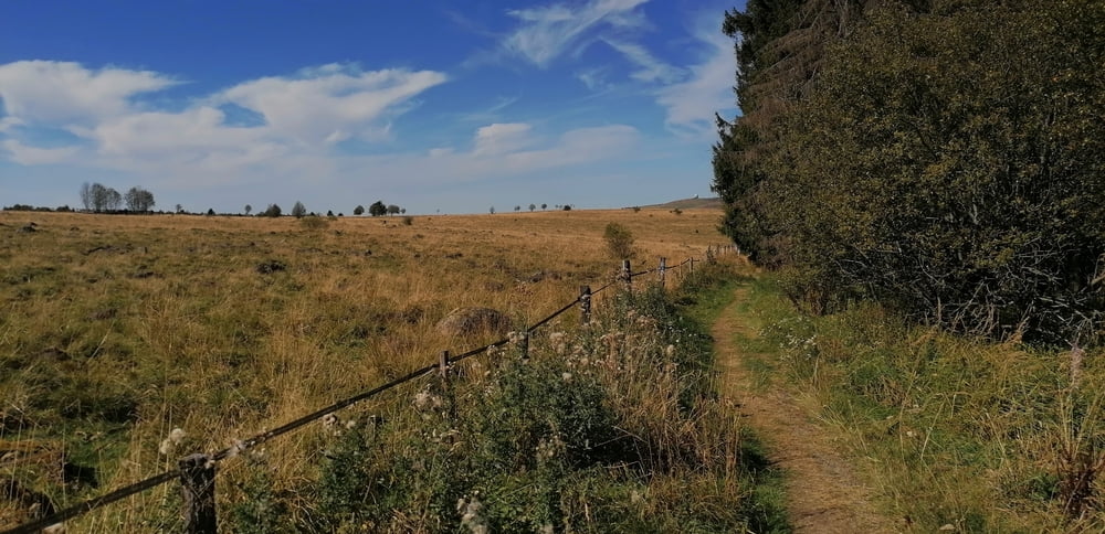 411. Extratour ROTES MOOR + Feldberg Aussicht und komplette Kaskadenschlucht ;-)