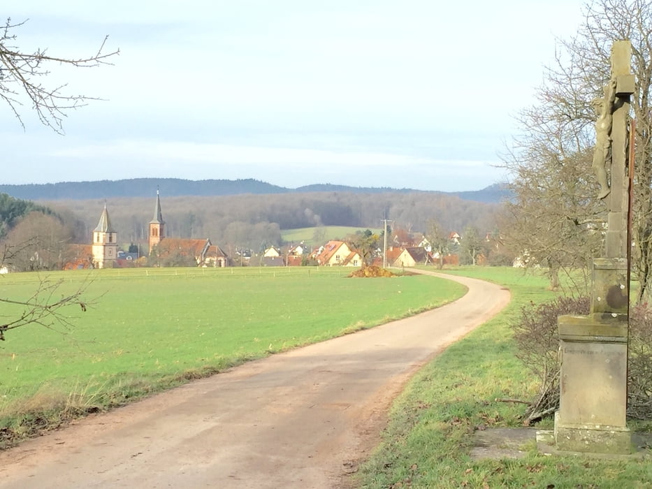 Rundweg Eselskopf - Climbach - Panzergraben und zurück