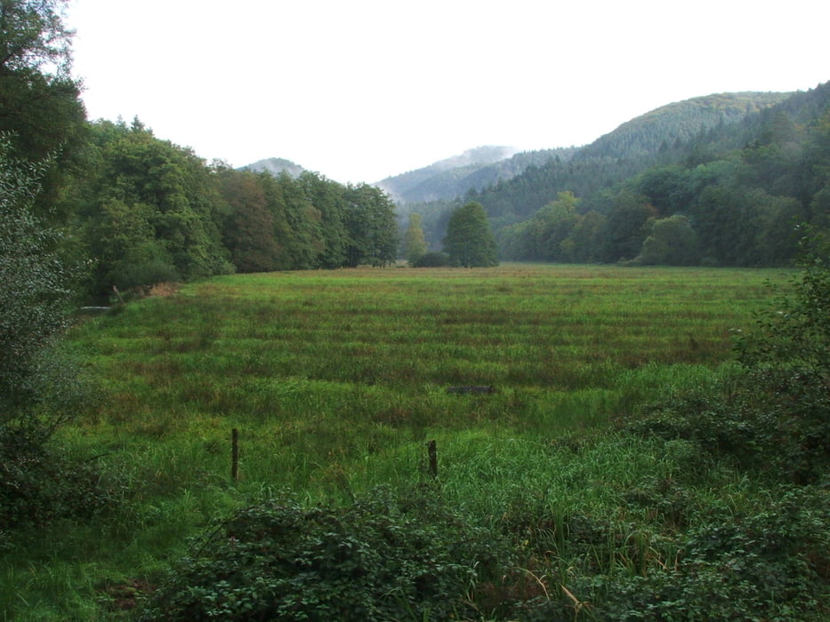 Pfälzerwald: Bobenthal - Reichenbach