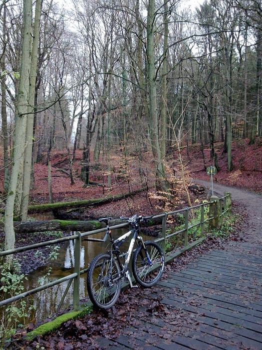 Von Lemsahl durchs Büttenwarder Land in die Boddenbeeker Brache