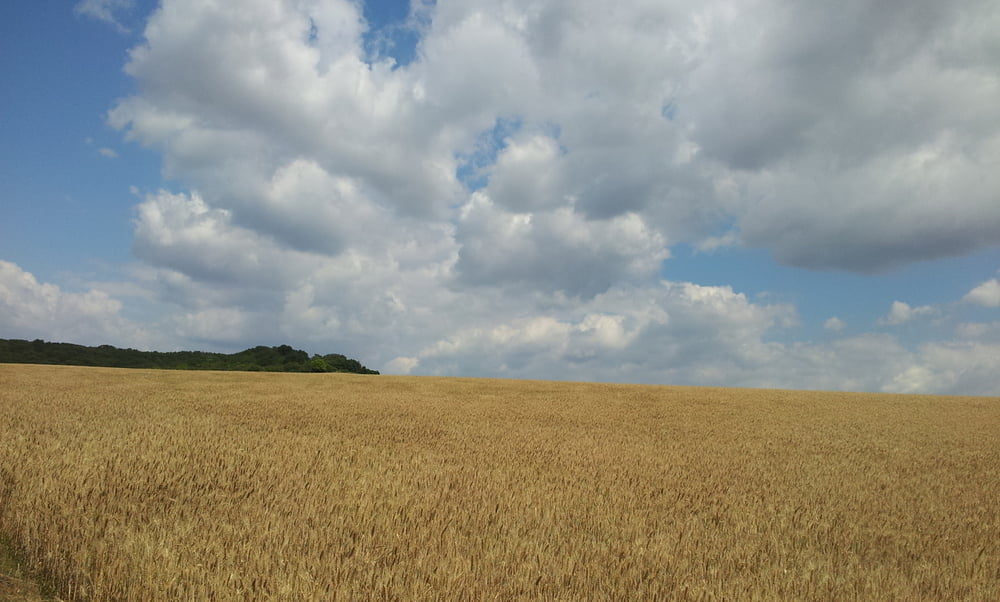 Schwechat