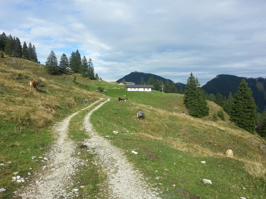 Bischofsfellnalm