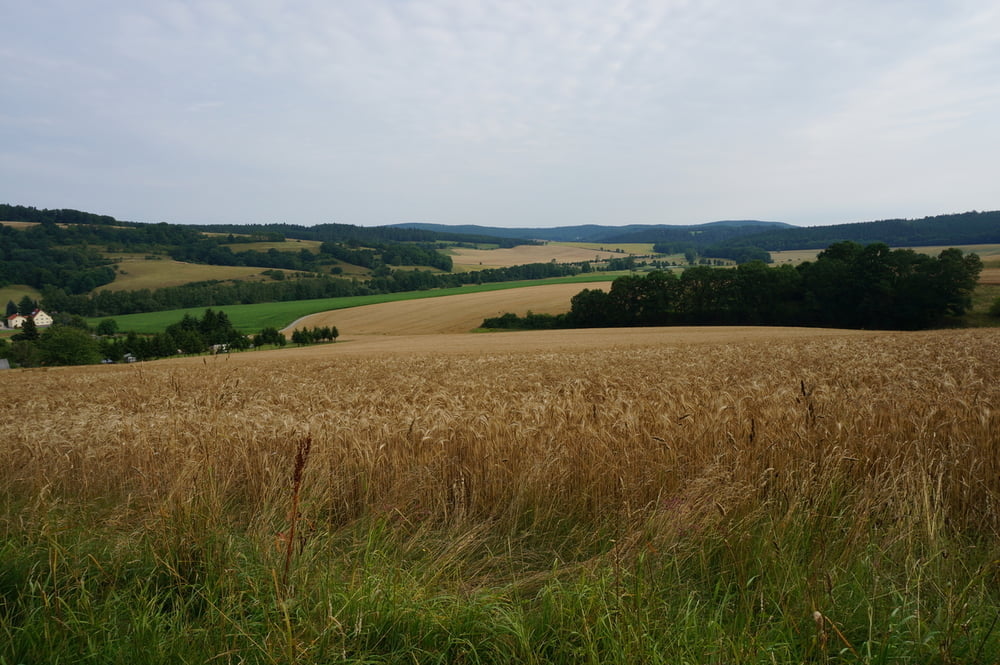 Auf die Krayenburg