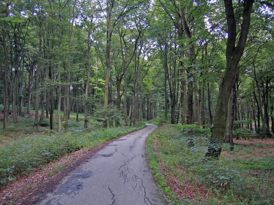 Rundtour Kettwig - Duisburg 6 Seen Platte