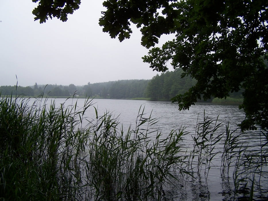 Rund um den Glambecksee