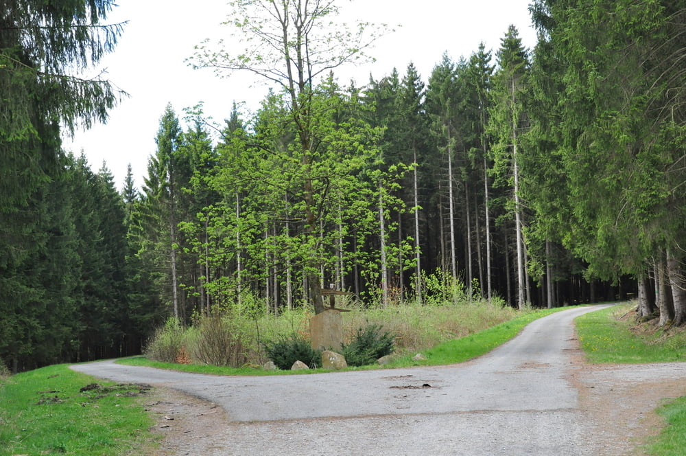 Ringelsteiner Wald