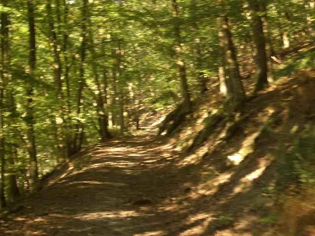 LahnKerkerbachtal