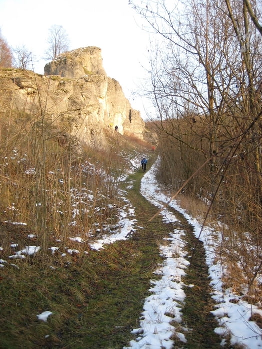 Bamberg Trails - Tiefenellern 03