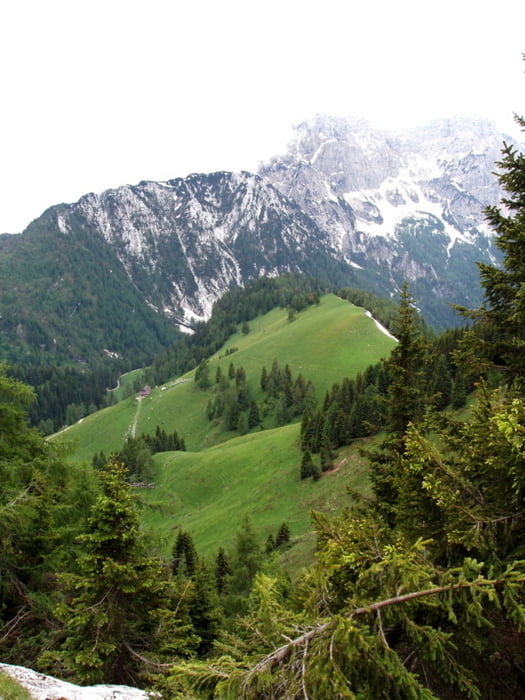 Rif. Boz per il Col S.Piero (Dolomiti)