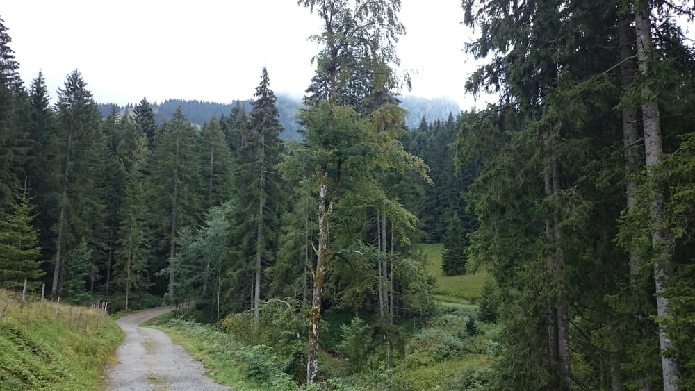 Rund um den Sorgschrofen