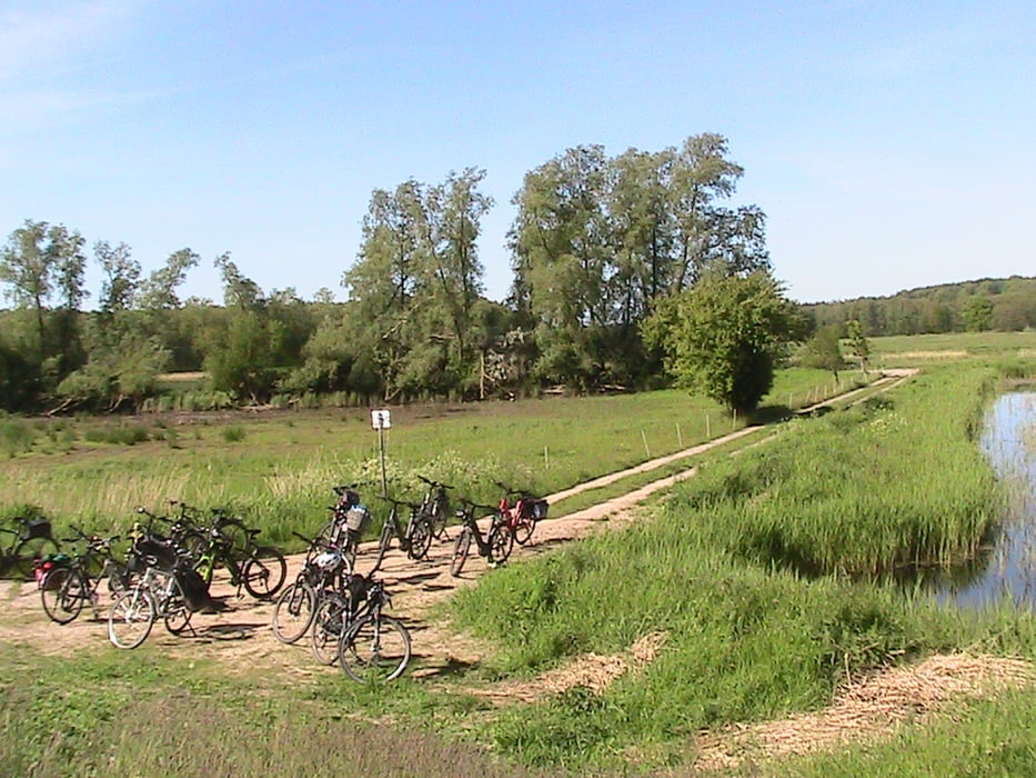 Vom Naturpark-Ranger über die Halbinsel Gnitz geführte Radtour