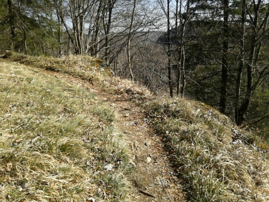Dürbheim-Lippachtal-Dürbheim mit Trails