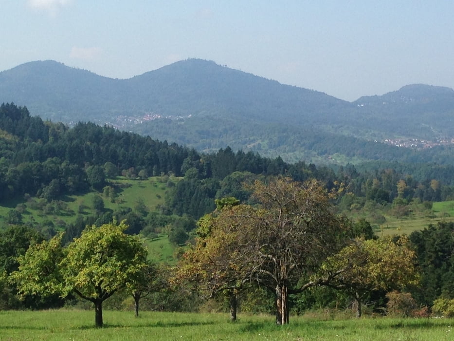 Rundtour Oos-Loffenau-Michelbach-Oos