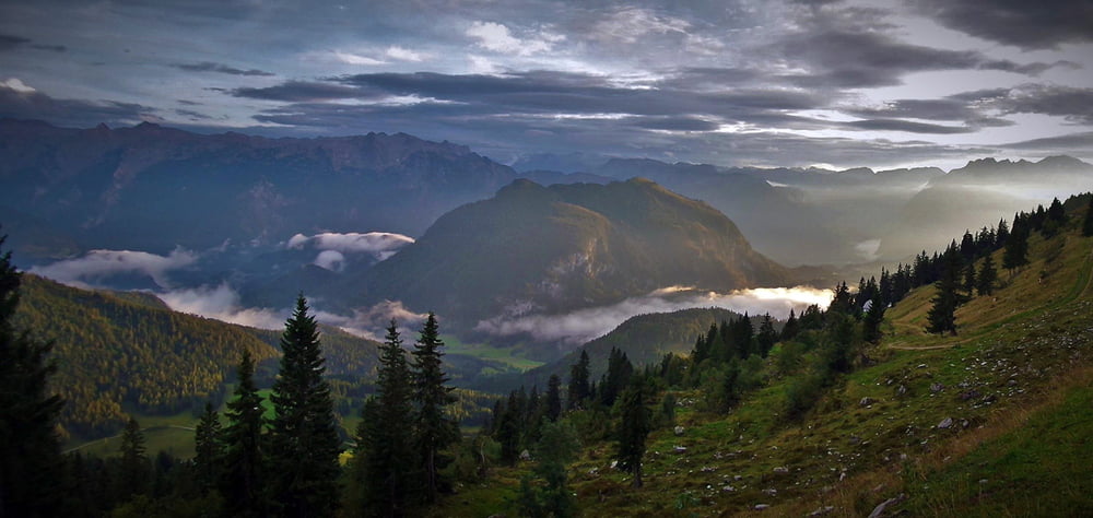 Arnoweg | Abschnitt 7 -54 | Abtenau Trattbergalm