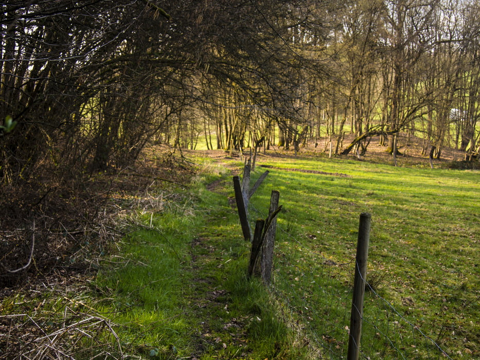 140402 Kräuterweg ab Seelscheid