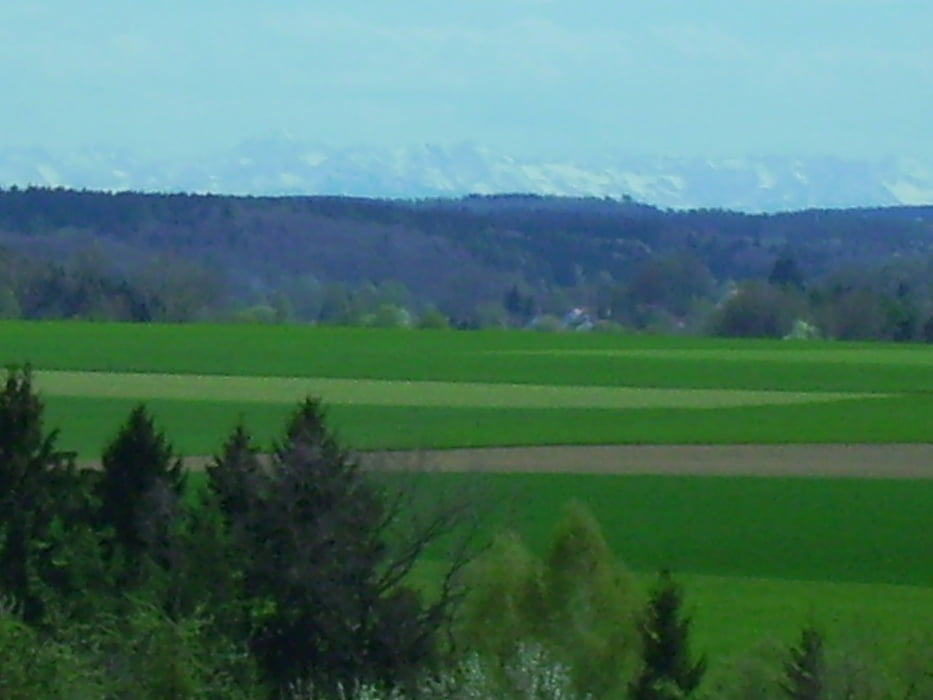 Steinberg Mietingen