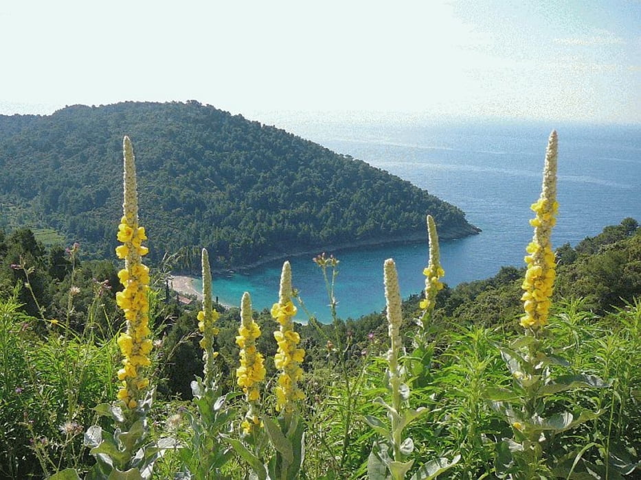 Inselhüpfen - Kroatien Süd