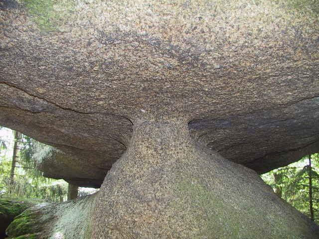 Steinwald Burg Weißenstein Katzentrögl Saubadfelsen