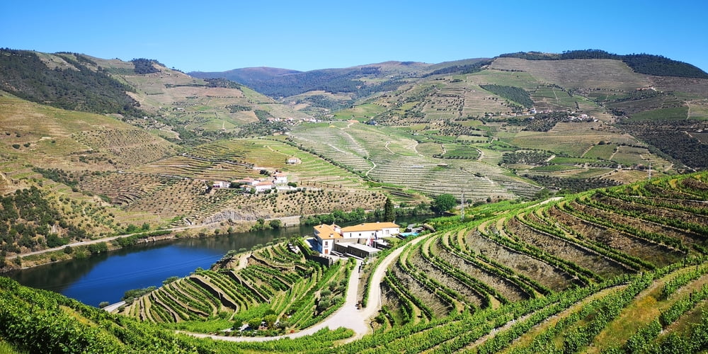 Weinbergwanderung am Douro