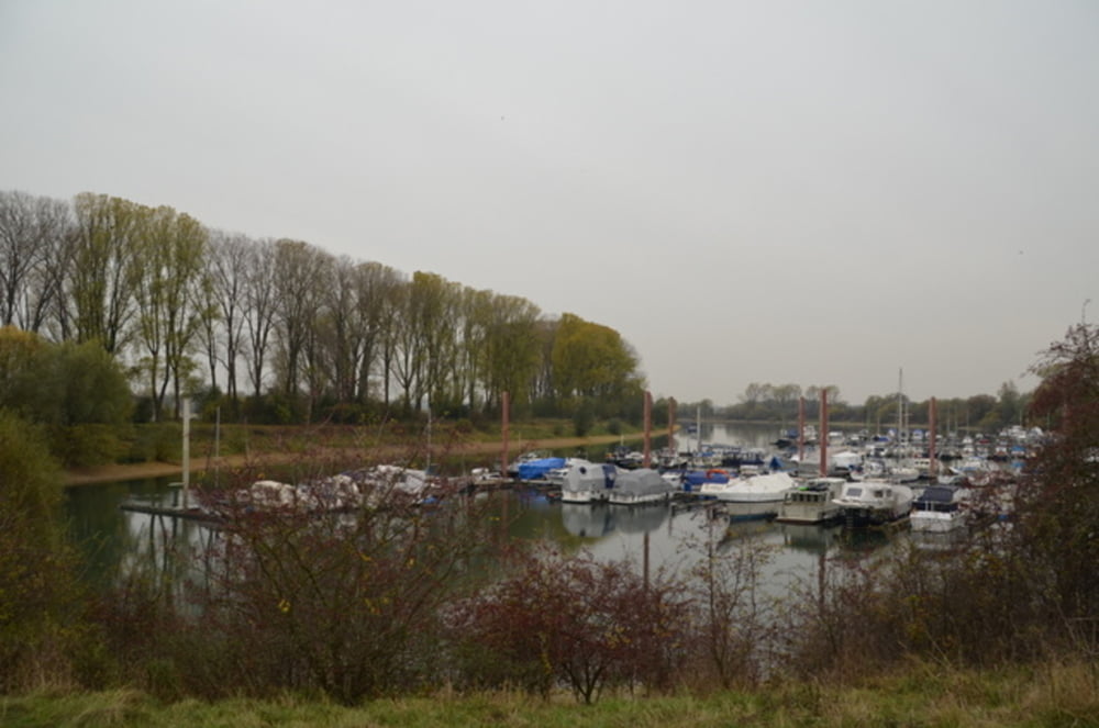 Wesel Auesee