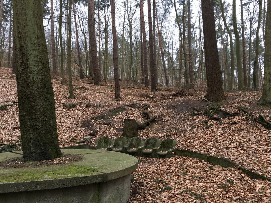 Bansin - Heringsdorf - Gothen - Bansin
