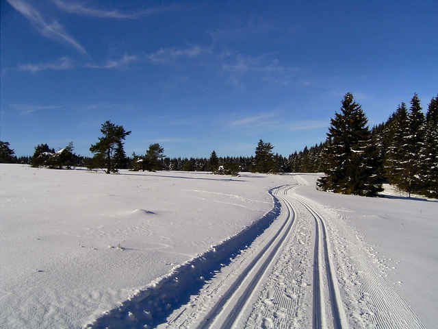 Auf der Hochheide zum Ettelsberg