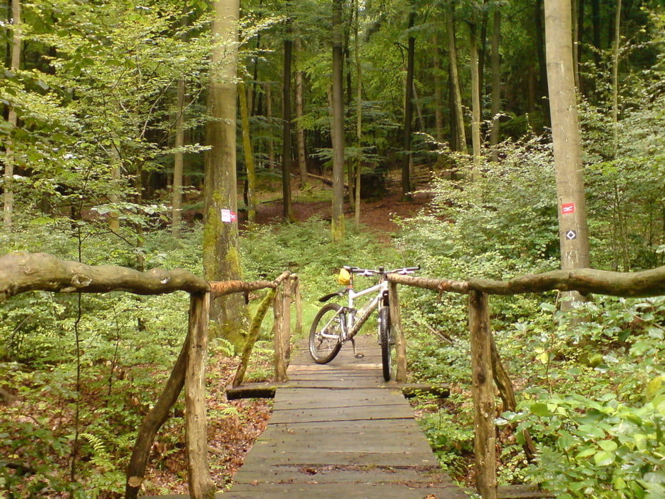 Burbach - Jagdberg - Burbach