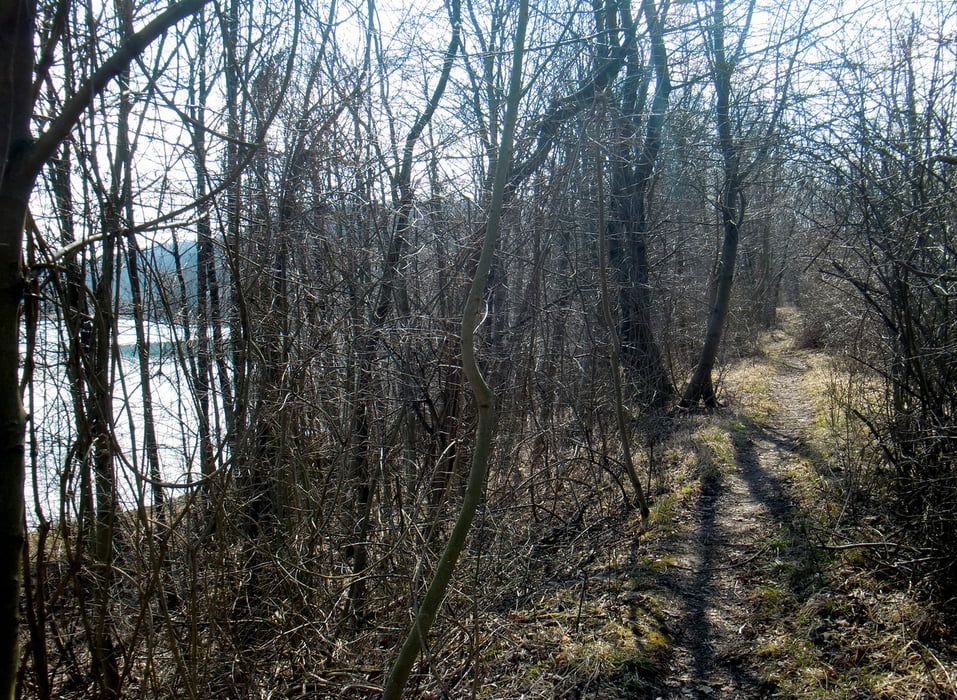 Salzgitter Höhenzug und Reihersee