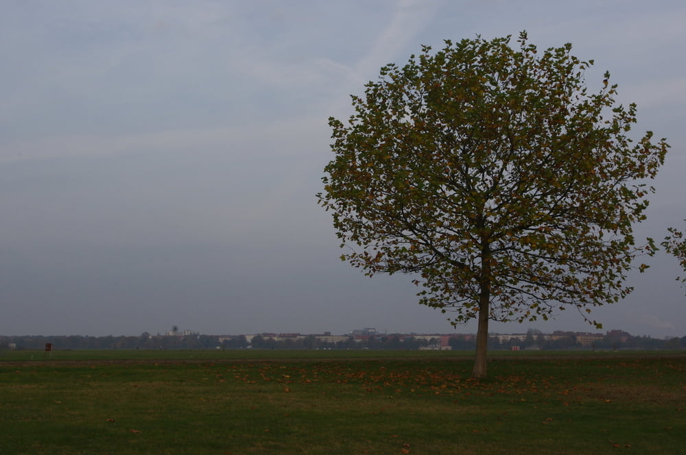 Rundkurs um das Tempelhofer Feld