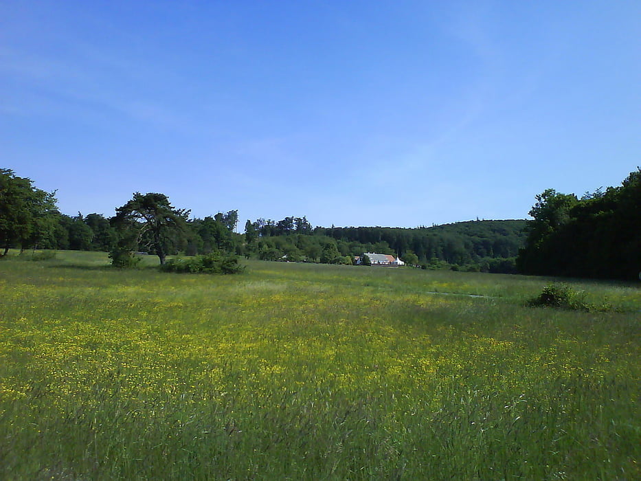Wien 7 - Irenental - Königstetten - Greifenstein - Nussdorf