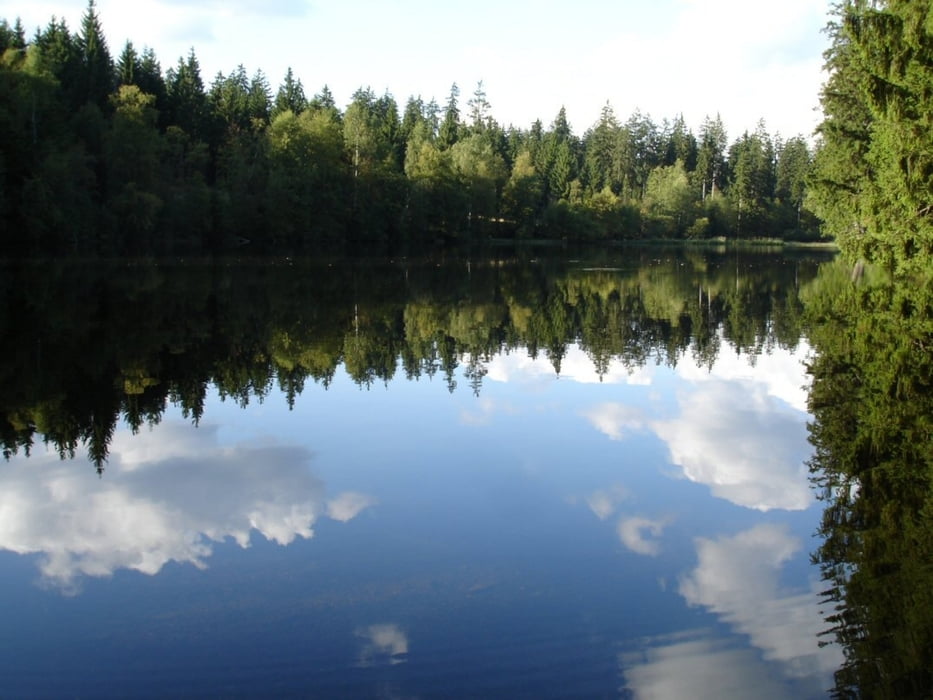 Hochharz