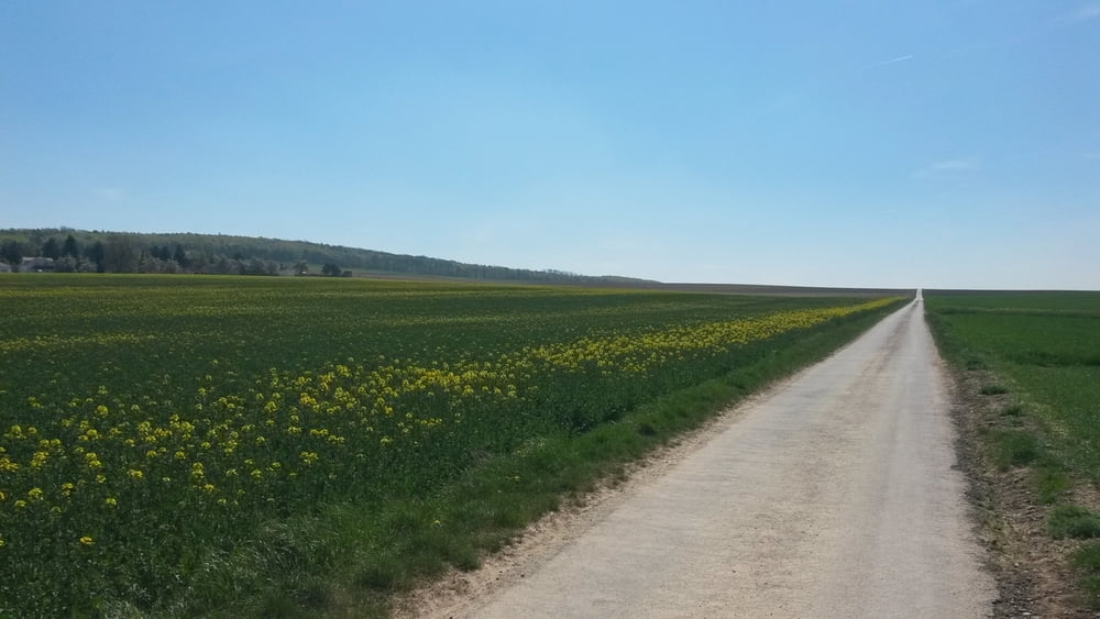 Kreuttalrunde