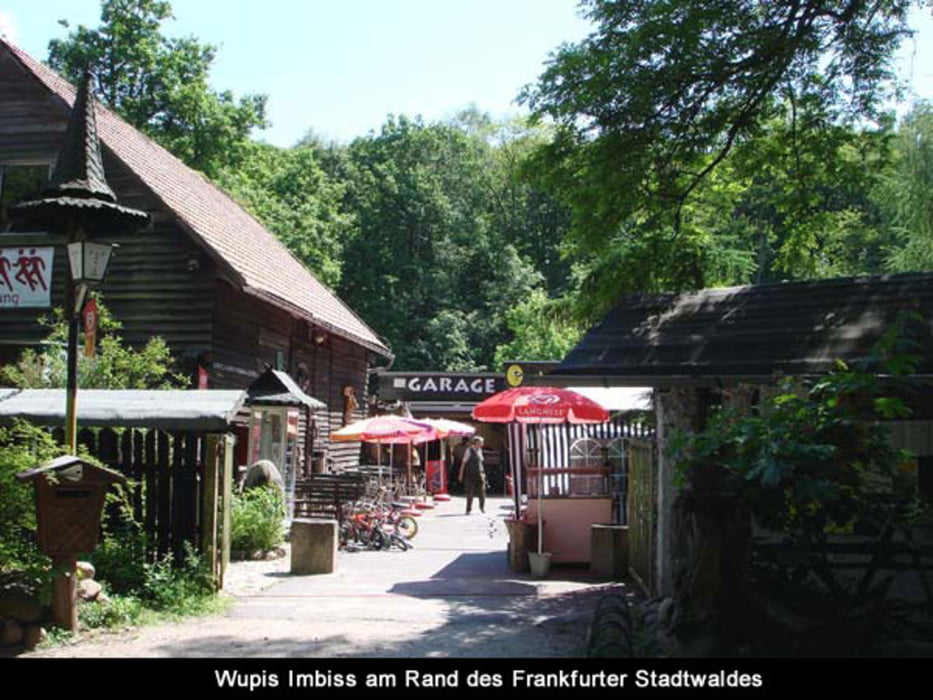 006) Spur der Steine im Frankfurter Stadtwald