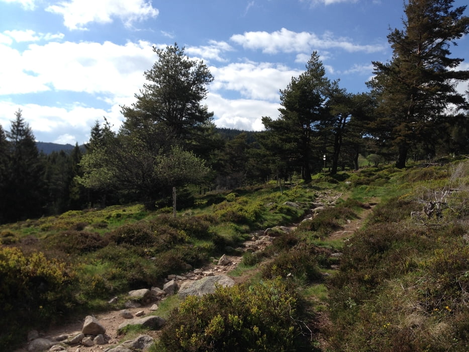Vogesen: Trails wie Speck