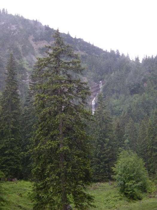 Geitau - Hochmiesingsattel - Krottentaler Alm