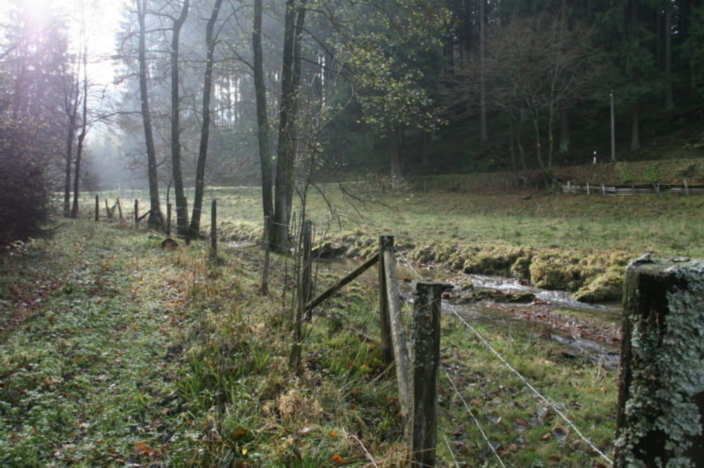 Kennerblick-Ilse-Indel
