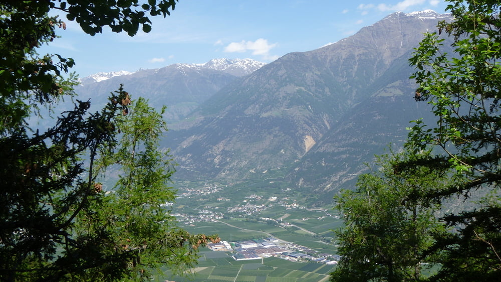 Vinschgau: Latscher Alm