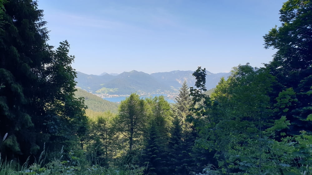 Moser Bike Guide 1 - Tegernsee, Schliersee, Walchensee - Tour 08 - Von Marienstein zur Aueralm