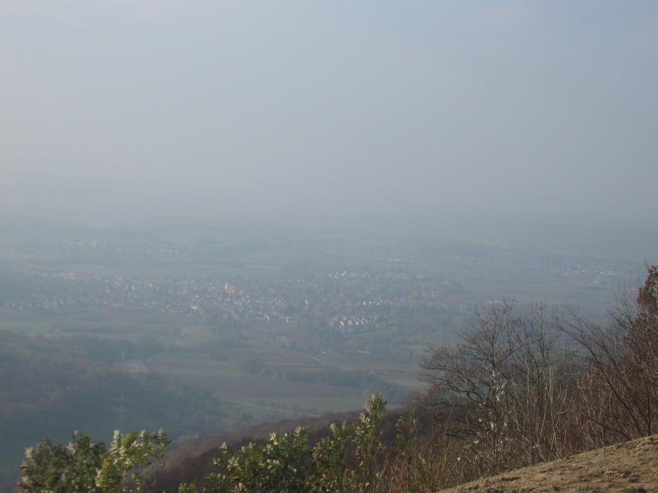 große Albrunde 