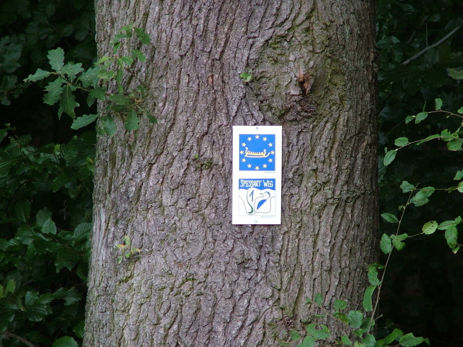 Auf dem Spessartweg1