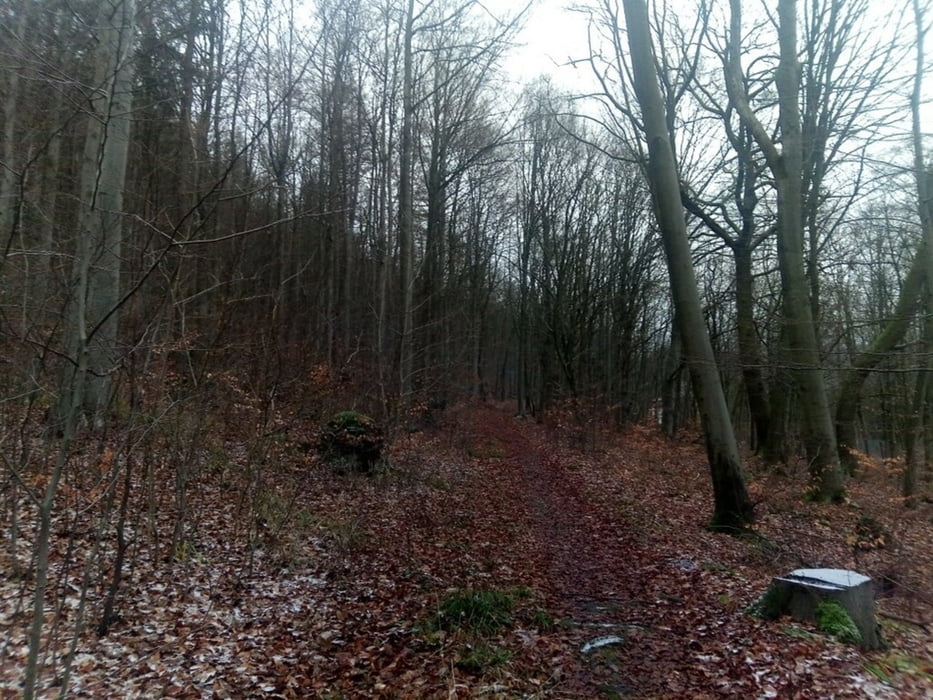 Bad Lauterberg - Hassenstein
