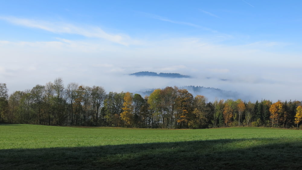 Wandern Bayerischer Wald: von Rettenbach/St.Englmar zum "Schopf"