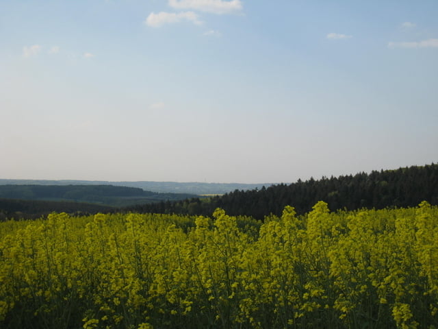 Schälker Heide