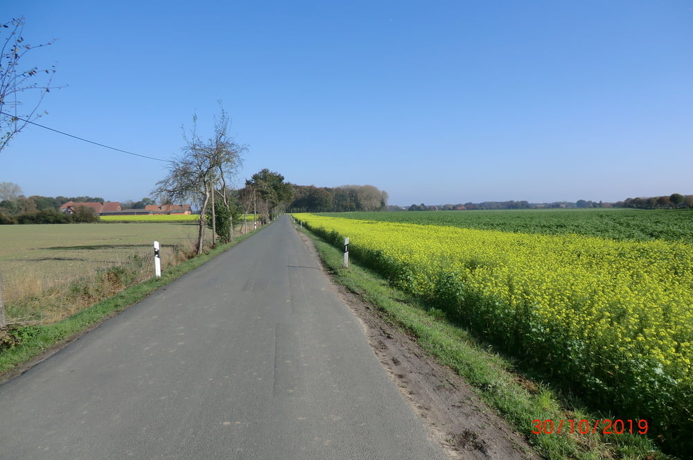 Westliches Münsterland