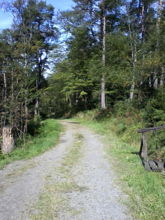 Entlang des Schleebachs