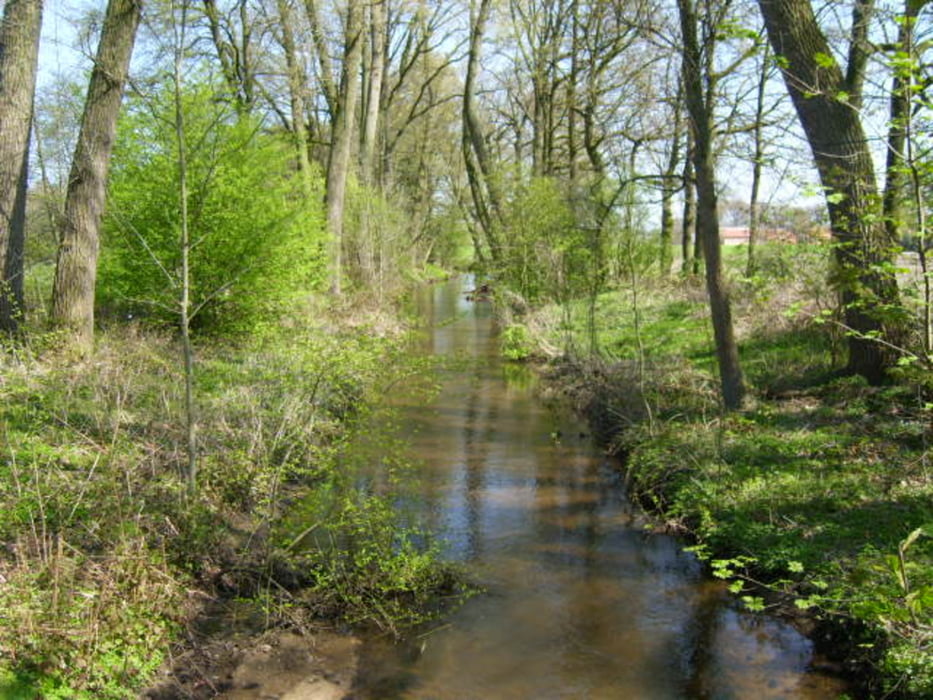 Essen, Trinken, Trallala ----in OWL(allala), aber auch reichlich Natur.